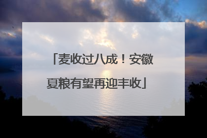 麦收过八成！安徽夏粮有望再迎丰收