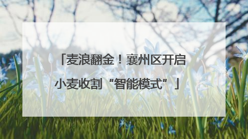 麦浪翻金！襄州区开启小麦收割“智能模式”