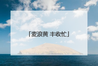 麦浪黄 丰收忙