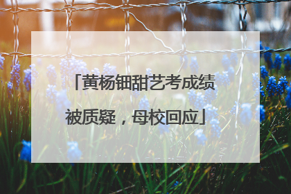 黄杨钿甜艺考成绩被质疑，母校回应