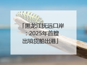 黑龙江抚远口岸：2025年首艘出境货船出港