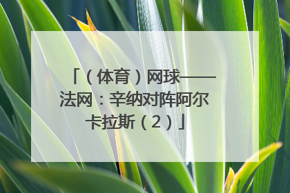 （体育）网球——法网：辛纳对阵阿尔卡拉斯（2）