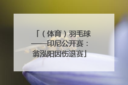 （体育）羽毛球——印尼公开赛：翁泓阳因伤退赛