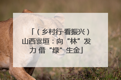 （乡村行·看振兴）山西襄垣：向“林”发力 借“绿”生金