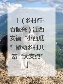 （乡村行·看振兴）江西安福“小西瓜”撬动乡村共富“大支点”