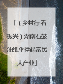 （乡村行·看振兴）湖南石鼓油纸伞撑起富民大产业