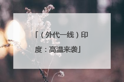 （外代一线）印度：高温来袭