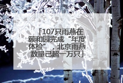 107只雨燕在颐和园完成“年度体检”，北京雨燕数量已超一万只