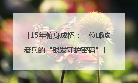 15年俯身成桥：一位邮政老兵的“银发守护密码”