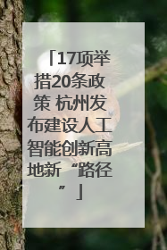 17项举措20条政策 杭州发布建设人工智能创新高地新“路径”