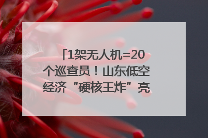 1架无人机=20个巡查员！山东低空经济“硬核王炸”亮相青岛，下一个万亿赛道藏在这里