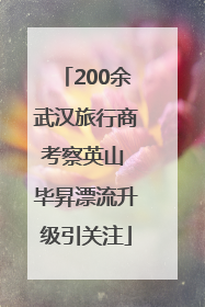 200余武汉旅行商考察英山 毕昇漂流升级引关注