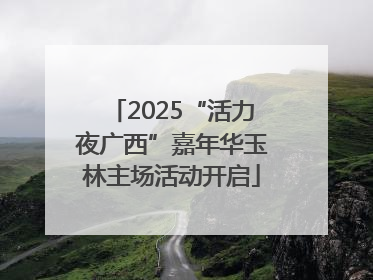 2025“活力夜广西”嘉年华玉林主场活动开启