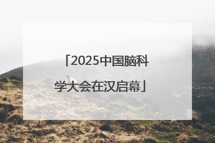 2025中国脑科学大会在汉启幕