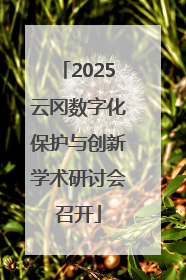 2025云冈数字化保护与创新学术研讨会召开