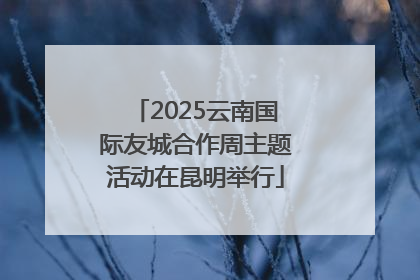 2025云南国际友城合作周主题活动在昆明举行