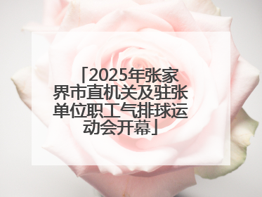 2025年张家界市直机关及驻张单位职工气排球运动会开幕