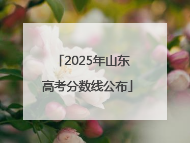2025年山东高考分数线公布