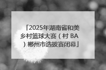2025年湖南省和美乡村篮球大赛（村 BA）郴州市选拔赛闭幕