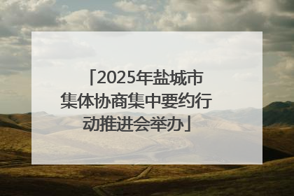 2025年盐城市集体协商集中要约行动推进会举办