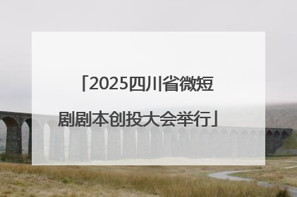2025四川省微短剧剧本创投大会举行