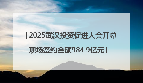 2025武汉投资促进大会开幕 现场签约金额984.9亿元