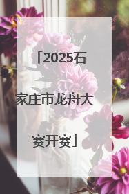 2025石家庄市龙舟大赛开赛