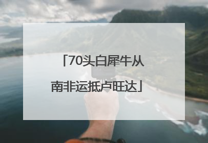 70头白犀牛从南非运抵卢旺达