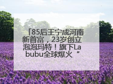 85后王宁成河南新首富，23岁创立泡泡玛特！旗下Labubu全球爆火“一娃难求”