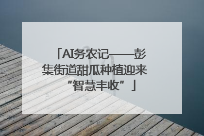 AI务农记——彭集街道甜瓜种植迎来“智慧丰收”