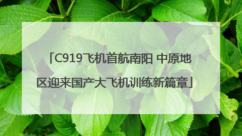 C919飞机首航南阳 中原地区迎来国产大飞机训练新篇章
