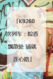 K9260次列车：粽香飘散处 铺就连心路