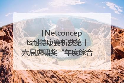 Netconcepts耐特康赛斩获第十六届虎啸奖“年度综合服务商”大奖