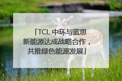 TCL 中环与蓝思新能源达成战略合作，共推绿色能源发展